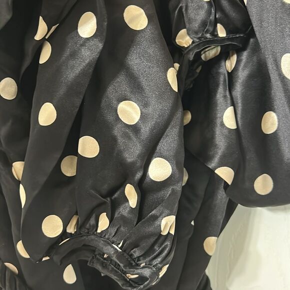 Elizabeth McKay Polka Dot Tie Waist Mini Silk Dress(Size 4) - Picture 9 of 14